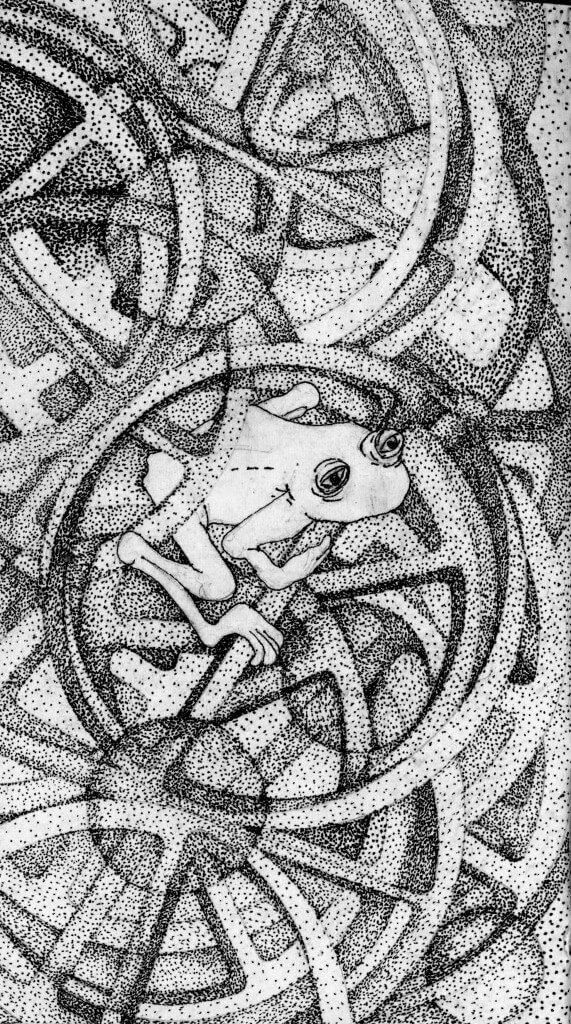 Bonnie Jean Woolger's frog