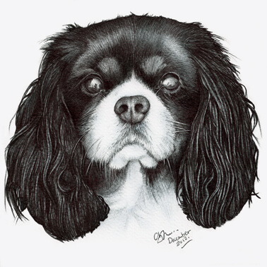 Chris-R-Wright-Ballpoint-Pen-Art