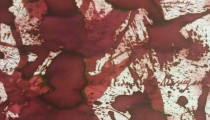 Sailor Jentle Ink Oku-Yama Review