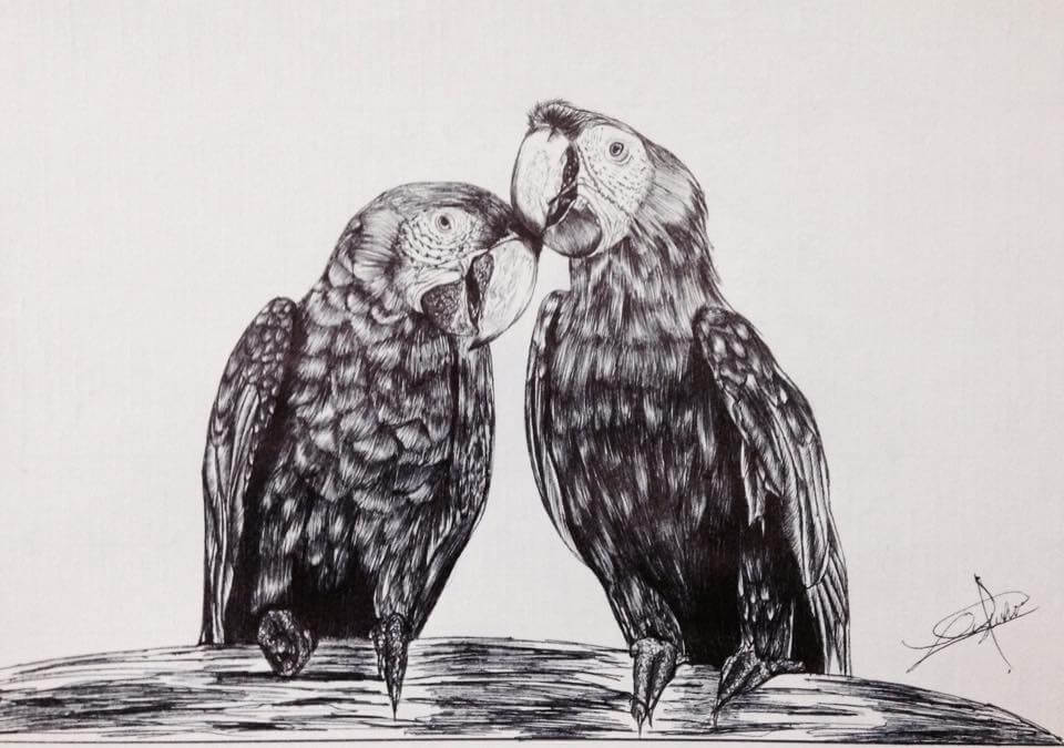 Lizbeth-macaws