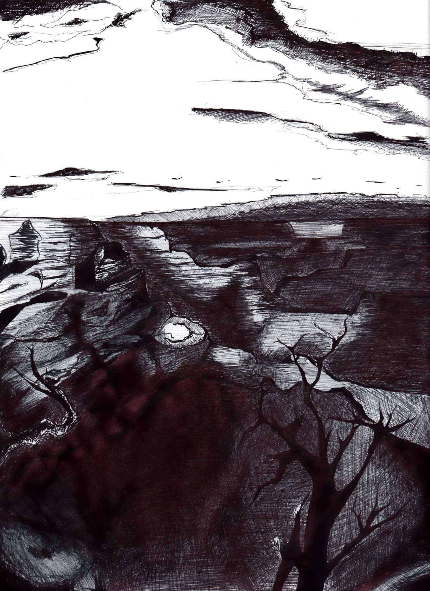 William Zheng's Grand Canyon