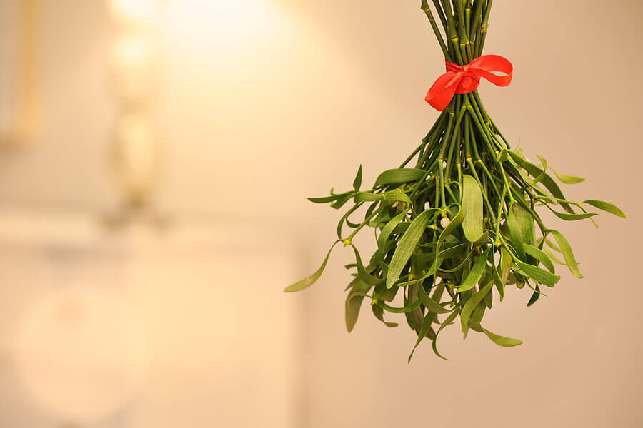 Mistletoe bunch with red bow on blurred background, space for text. Traditional Christmas decor