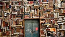 5 reasons you should love your local library