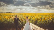 How to write a great wedding speech