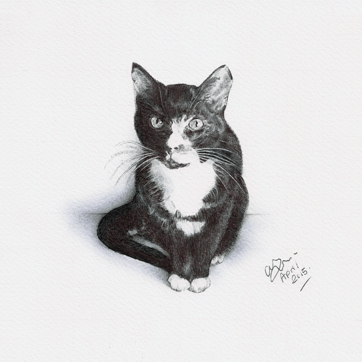A pet cat commission by Chris