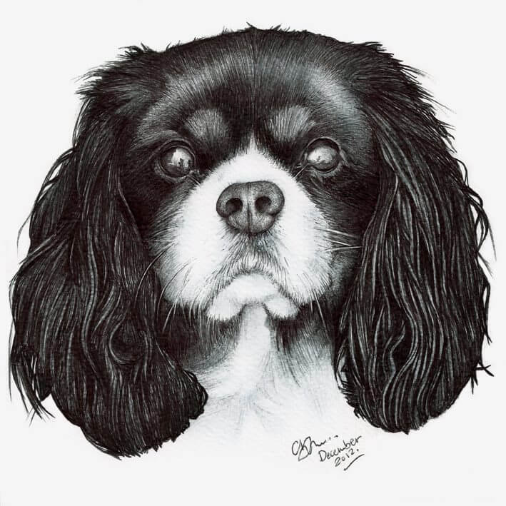 A pet commission by Chris