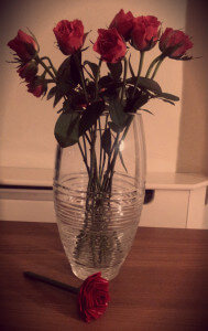 flower 14