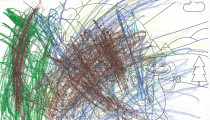 Michael Allan – Age 2 – Colouring-in Competition Entry