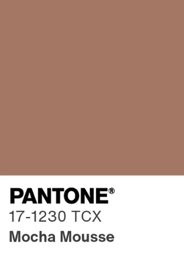 Pantone Mocha Mousse colour card