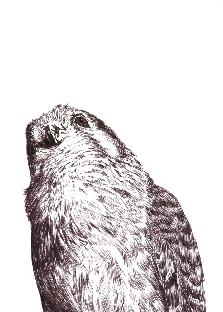 'Up There' by Elizabeth Porter